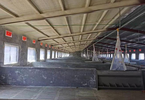 為您提供優(yōu)質(zhì)的服務(wù)