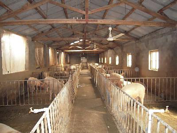 養(yǎng)殖棚舍保溫