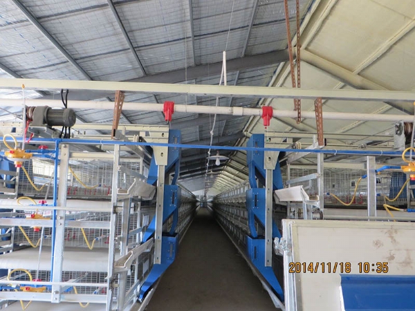 養(yǎng)殖棚舍保溫